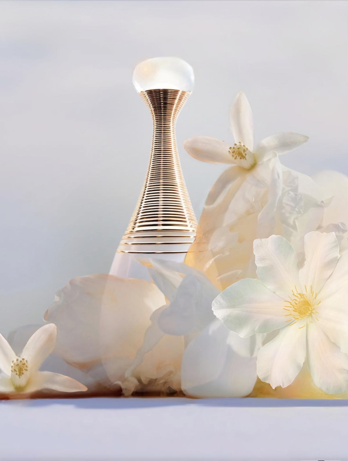 Dior J'adore Parfum d'Eau 100ml