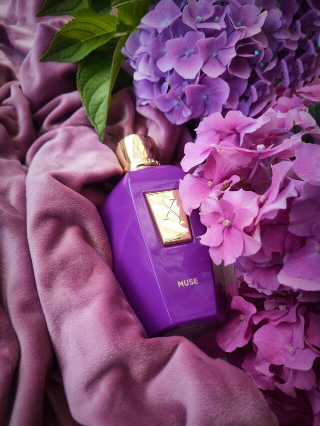 Muse 100ML